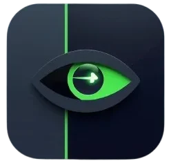 tiktok anonymous viewer